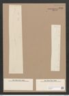 Pleurosigma sp. (de-Toni-Nr.: Genus 13) Zeichnungen Sammlung Grunow Nr. 2158 (NHMW-BOT-W0369211)